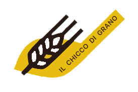 Il chicco di grano